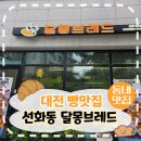 달몽브레드