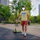 와우어패럴