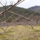 인덕농장 이미지