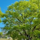 하늘자동차공업사 이미지