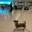 가족마트 이미지