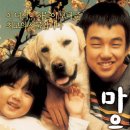 마음이 1...(Heart Is) -드라마 | 한국 | 97 분 | 개봉 2006-10-25 |유승호, 김향기, 달이 이미지