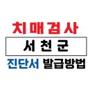 서천군치매안심센터 | 서천군 치매검사 및 치매진단서 발급 방법 / 75세 이상 운전면허증 갱신 및 장기요양보험 /치매 요양...