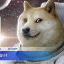 코인 이미지