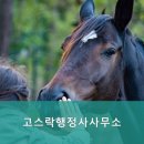 고스락행정사사무소 이미지