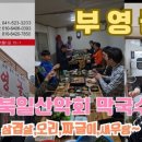 부영골 이미지