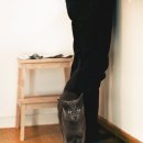 사진공간#3 이미지