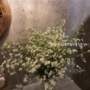 백양한의원 | [대구핫플레이스,대구카페]도심안에 작은 숲속같은 "대봉정" /꽃길언니