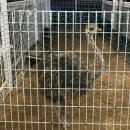 단짠아쿠아 평화점 | 전주 아기랑 뭐하지? 먹이주기 체험이 가능한 수족관 카페 단짠 아쿠아 후기
