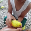 준모농장 이미지