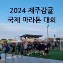 대촌미락 | 24년 제주감귤국제마라톤 풀코스 후기 및 준비물, 대회 정보