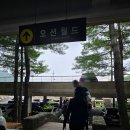 홍천 오션월드 하이시즌 주말 오픈런 후기