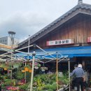 정아상회