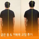 코어요가 | 코어강화&amp; 굽은 등,거북목 교정 후기 정자동PT / 파장동요가
