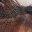 리현 헤어 이미지