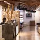 준안과의원 이미지