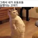 조선스낵 이미지