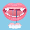 참조은치과의원 이미지