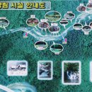 도사곡휴양림야영장 이미지