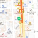 부산강아지분양 고양이분양 베스트펫 본점 이미지