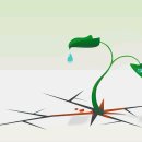 피어나는 생명 이미지