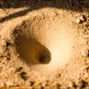 금호자동차 이미지