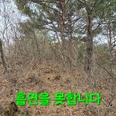 미련곰탱이 이미지