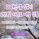 [소랑투어]노팁+노옵션, 유채꽃+벚꽃+고사리꺽기 체험, 김포/부산/대구/포항/청주/광주 출발 국내여행지...