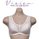 브라비즈