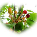 더 느리게 이미지