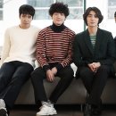 잔나비