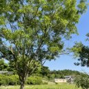 서울 근교 한옥 촌캉스 추천 - 충주 서유숙 펜션 해인숙 2동 후기!