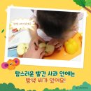 달서채소