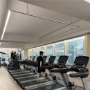 내외로 | 내외동PT 추천, 피트니스055 내외점 내돈내산 후기가 많은 이유