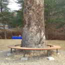 호저초등학교 이미지