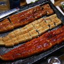 맛장어