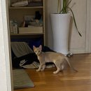 누구나 홀딱 반한닭 안성아양점 이미지