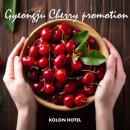 코오롱호텔 이미지