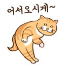 보광탕 이미지