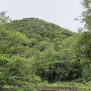 기룡농장 이미지