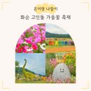 고인돌 조형물 | 11/2까지 무료 입장! 전남 주말 화순 고인돌 가을꽃 축제 아이랑 후기 (입장료 환급, 주차장, 동선...