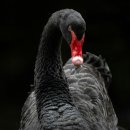 산정주유소 이미지