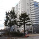 덕진-116 이미지