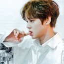 윙윙 - 전주시 완산구 솟대2길 2 | 윙윙
