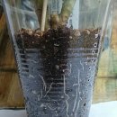 엠버즈 이미지