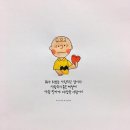 바로나 Daum카페