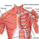 다사랑연합의원 이미지
