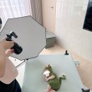 출장 본 아트 바른 스냅 스튜디오 50일촬영 후기