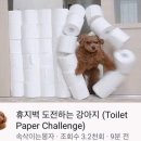 강아지맛집 이미지