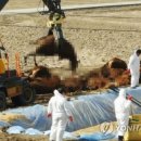 김정남농장 이미지